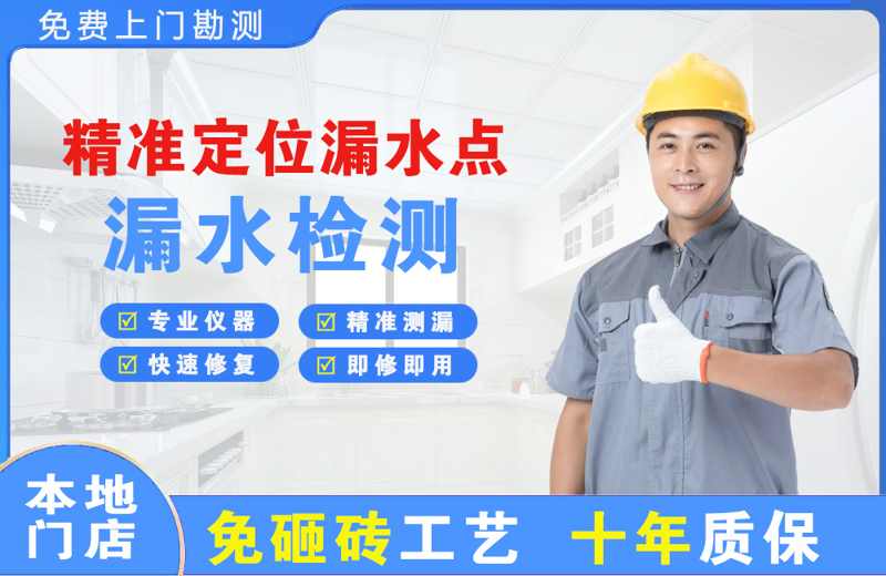 偃师精准测漏点